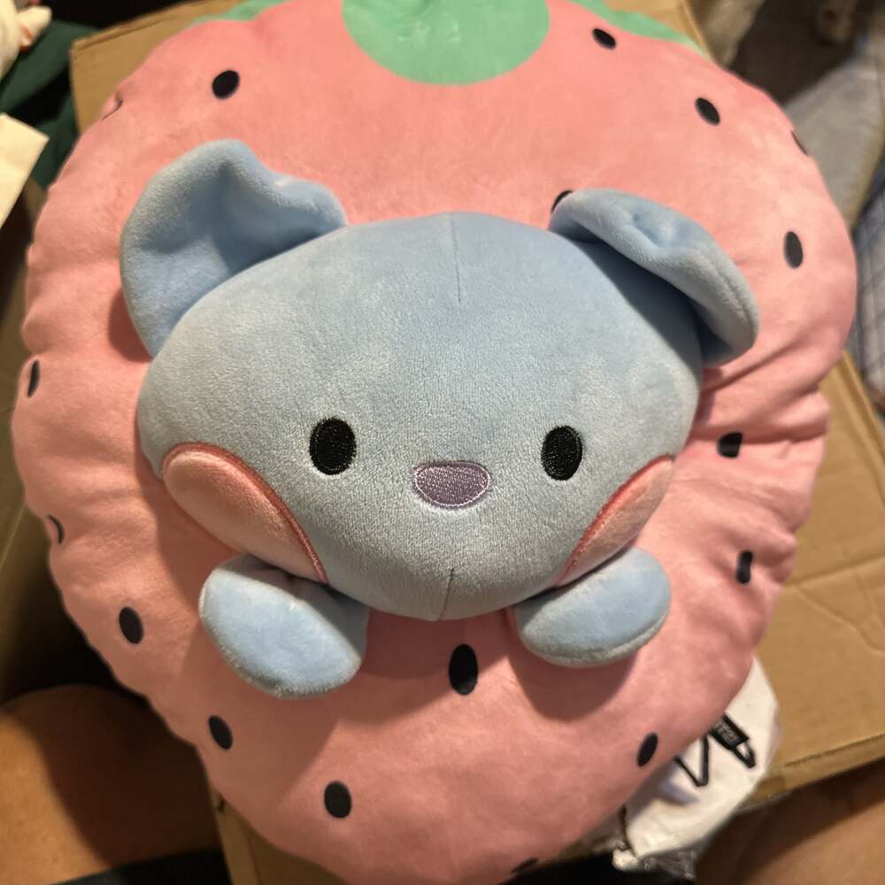 BT21 Koya Flat Face Cushion NWT